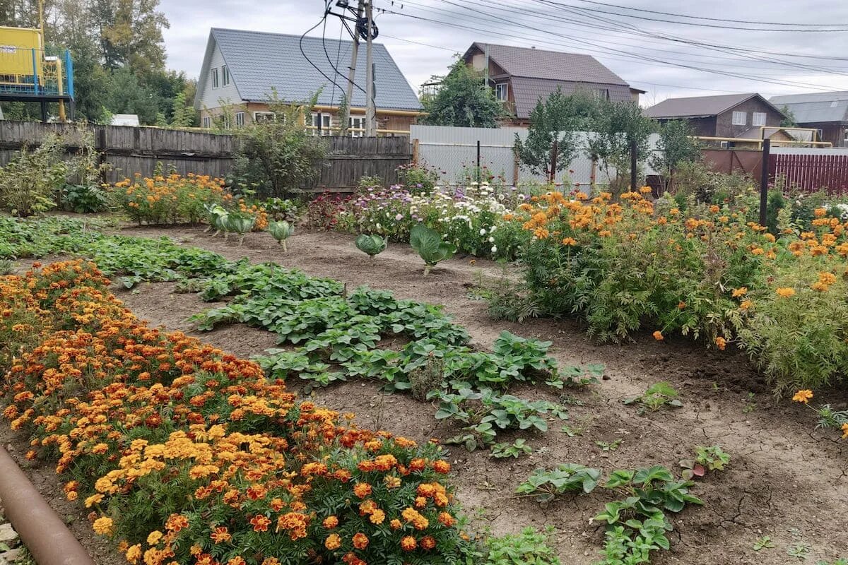 Фото: UfaTime.ru