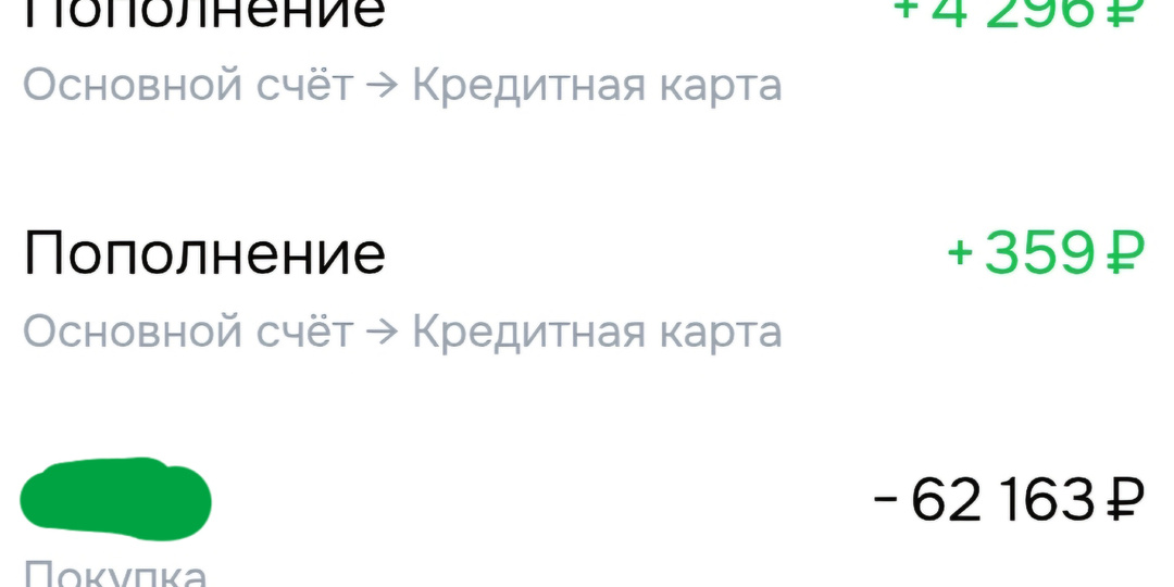 Потратила накопленные деньги, взяла рассрочку, заработок в Дзен