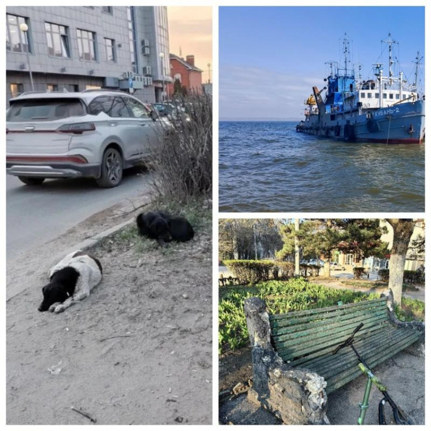 Редакционный коллаж «Блокнот Таганрог» из фото читателей и пресс-службы Росморпорта