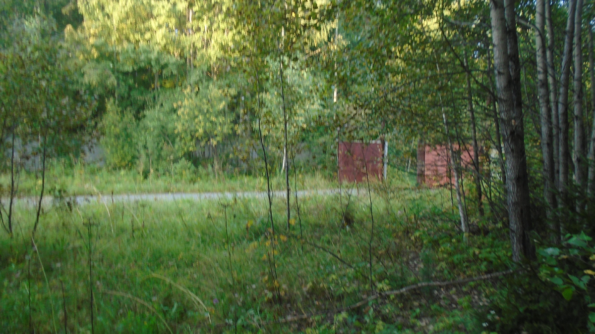 Ворота предприятия...