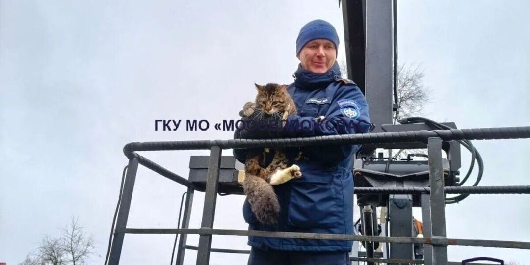 Кричала два дня, пока на помощь не пришла автовышка