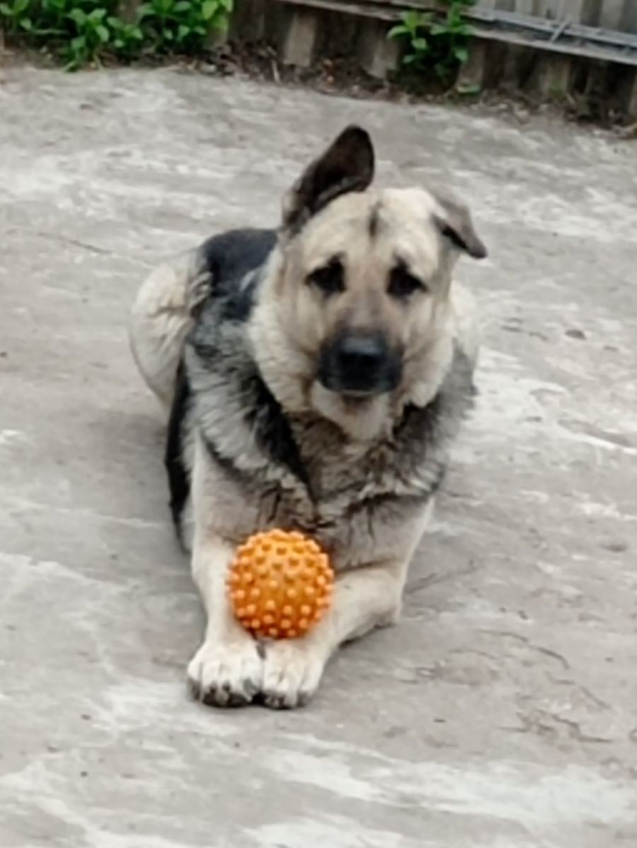 (фото из личного архива)