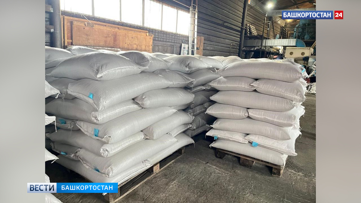    Экспорт семян из Башкортостана вырос вдвое