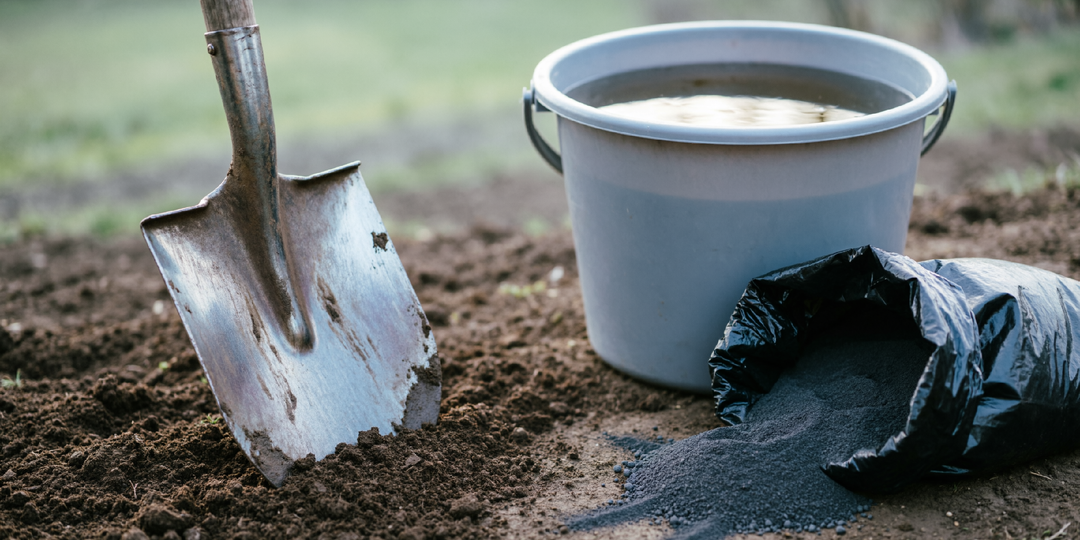 «Ты с ума сошёл? Без навоза ничего не вырастет!» — кричала мама. А я просто сыпал одну пачку. Результат за сутки
