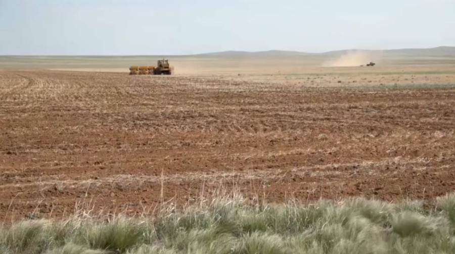 Аграрии области Ұлытау начали посевную кампанию