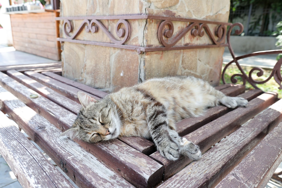    Сергей Петров/NEWS.ru