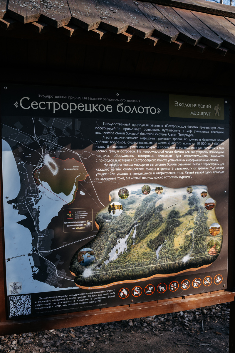 Информационный стенд на маршруте Сестрорецкие болота