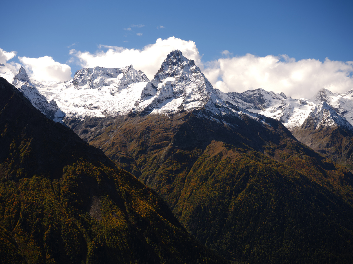 Фото СК "СЕМЬЯ"