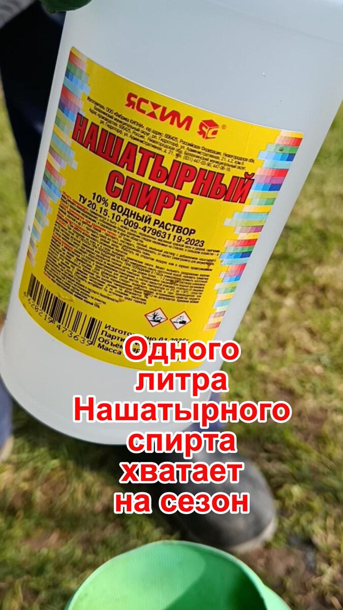 Нашатырный спирт для сада и огорода