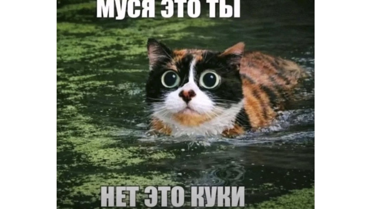    Другой популярный герой социальных сетей тоже стал частью этого мема