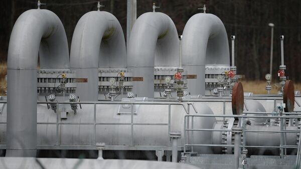    © Sputnik / Алексей Витвицкий