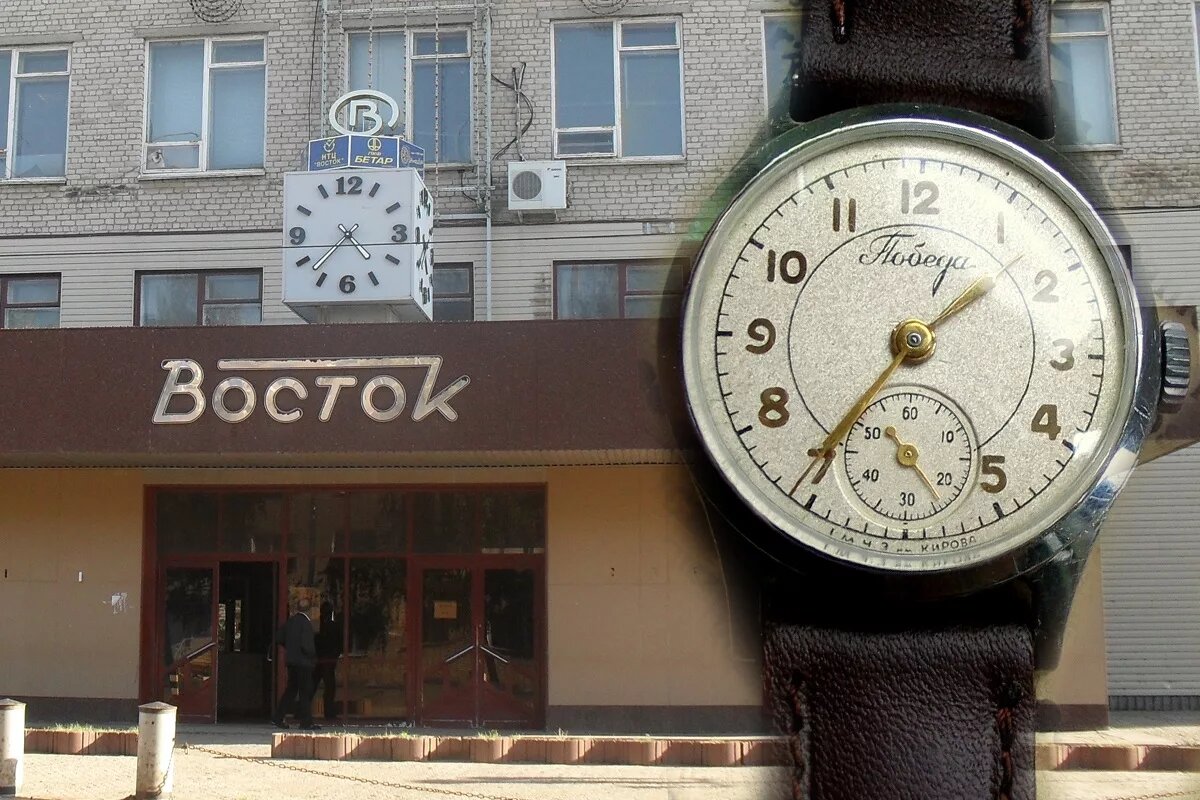 Фото: kiwinutritech.com