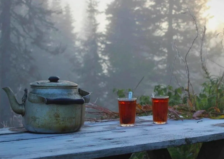 Разоблачение преступной группы