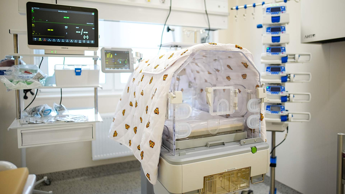 Фото: ИЗВЕСТИЯ/Сергей Лантюхов