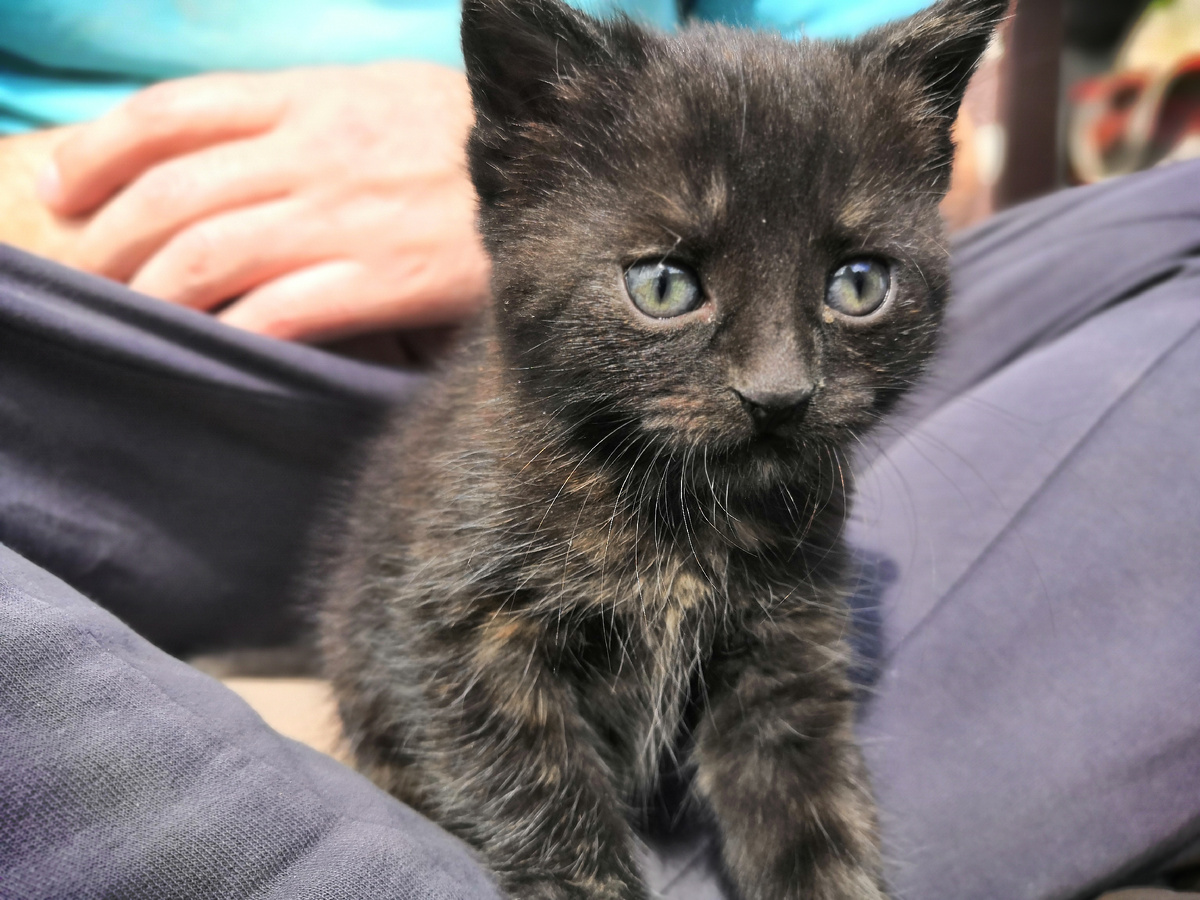 Здарсьте, я Мия!