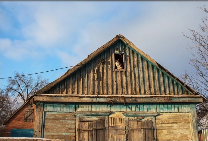    дом Редакция Газеты