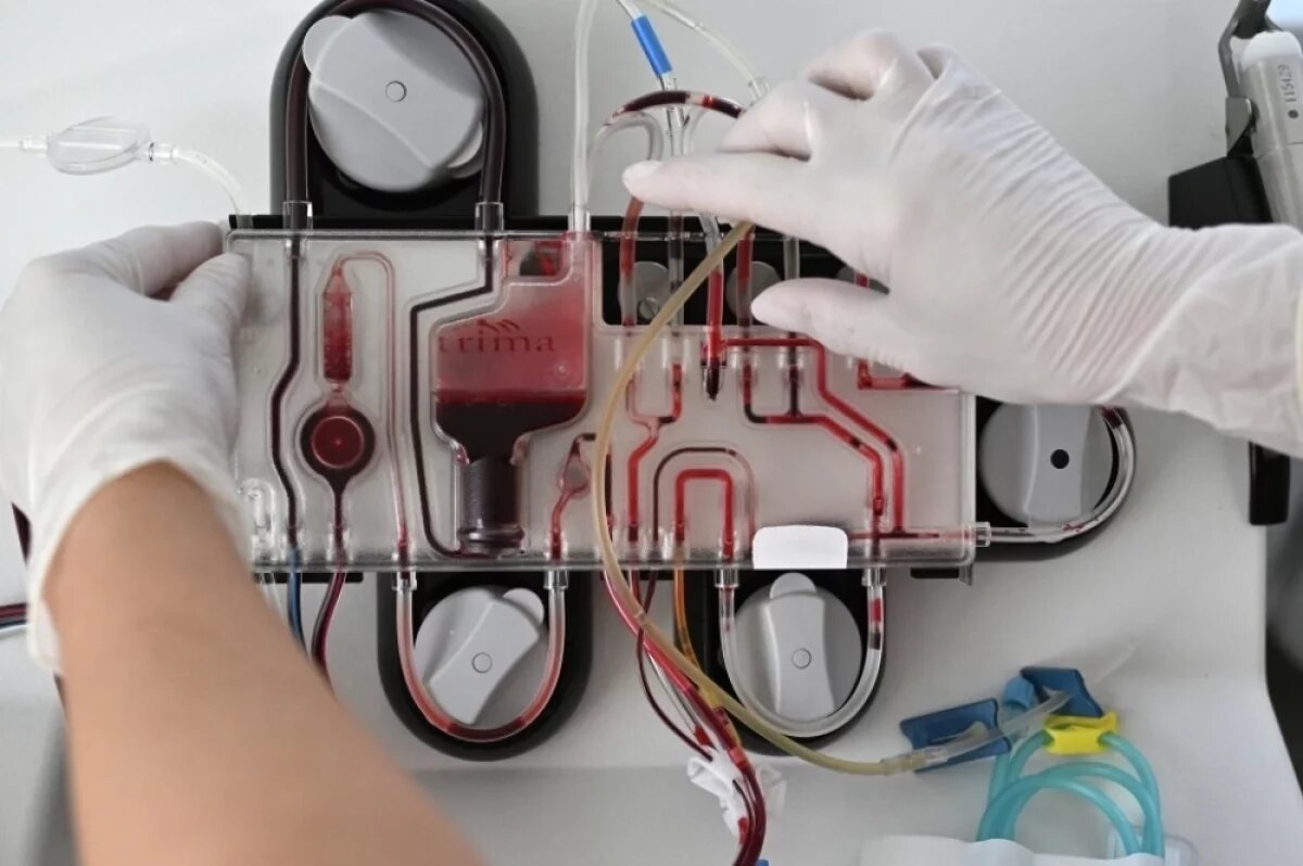    Плазмаферез — метод экстракорпоральной гемокоррекции (очищения крови вне организма).