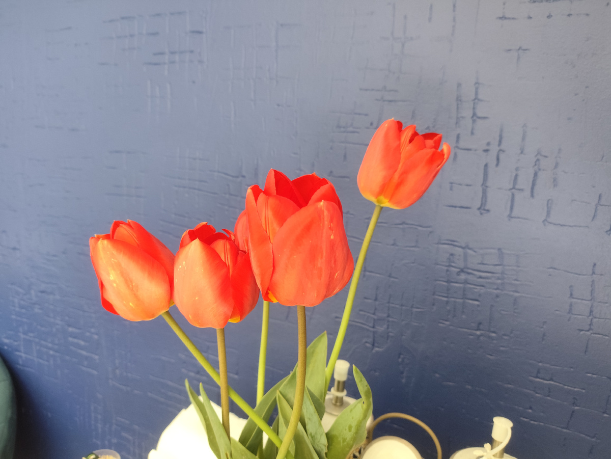 Это я Иринке привезла тюльпанчиков.