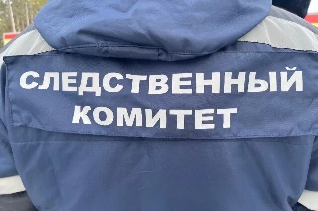    Тело в шопере: что известно о найденном в парке трупе младенца?