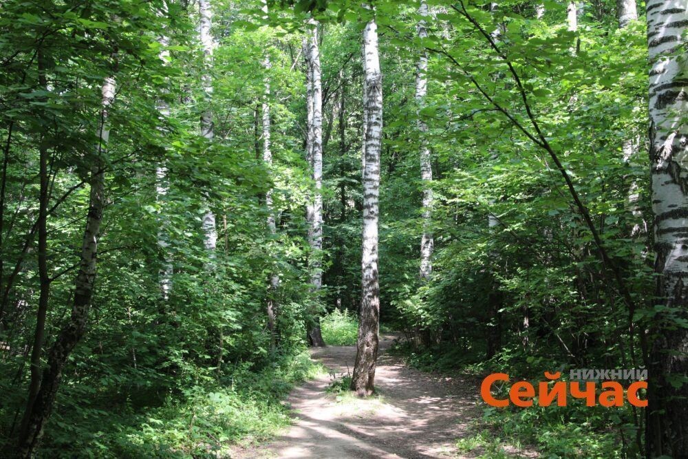    Фото: ИА "Нижний сейчас" Редакция nn-now
