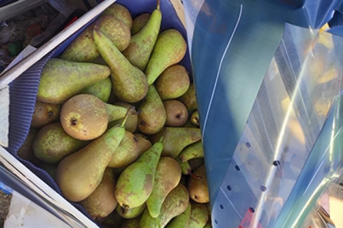    В Оренбуржье по иску прокурора заблокировали сайты по продаже фруктов из ЕС