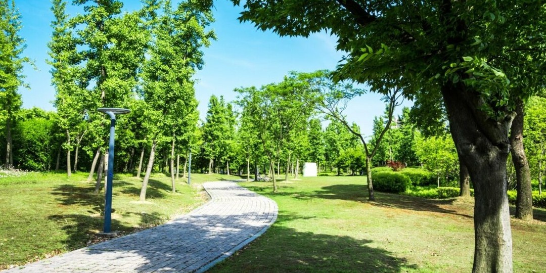 На Дону 18 апреля пройдет День древонасаждения