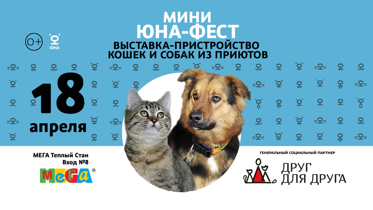    «Мини Юна-Фест» пройдет 18 апреля с 12:00 до 18:00 в ТРЦ МЕГА Теплый Стан