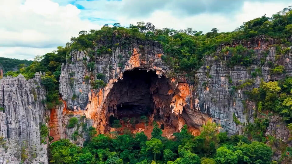 Фото: © Кадр программы "Невероятно интересные истории", РЕН ТВ 