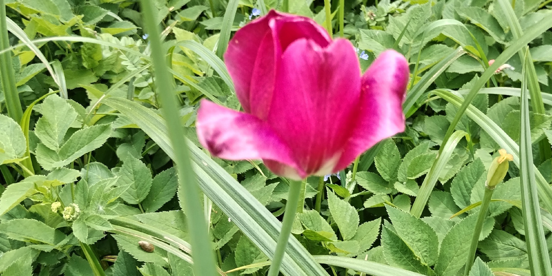 Умчалась вдаль весна