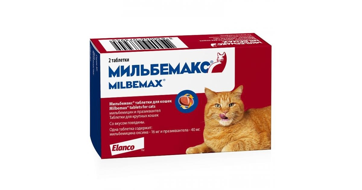Источник изображения: moyedem.ru