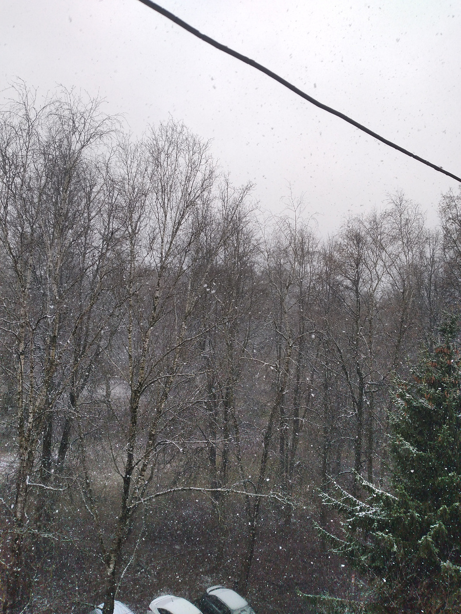 Весенний снег.