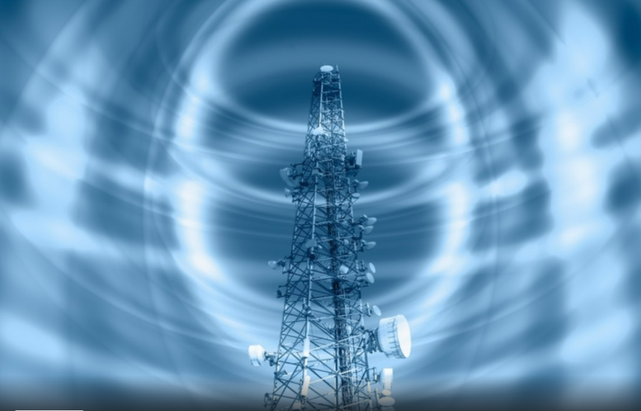    Shutterstock/FOTODOM