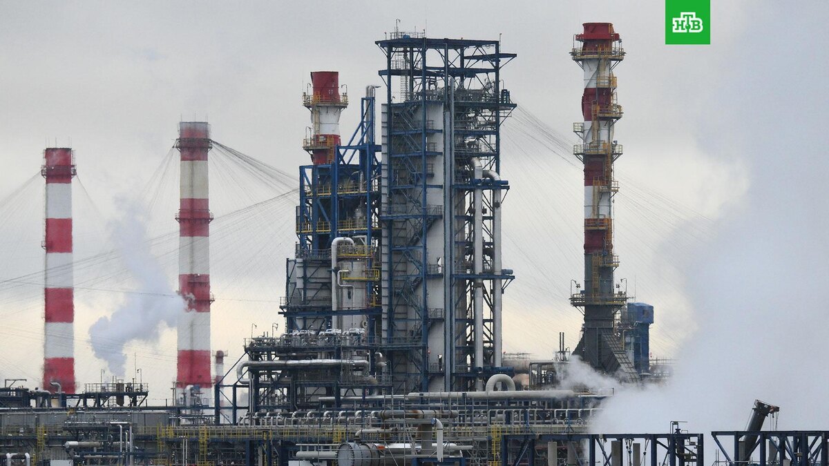    Фото: РИА Новости © 2026, Илья Питалев