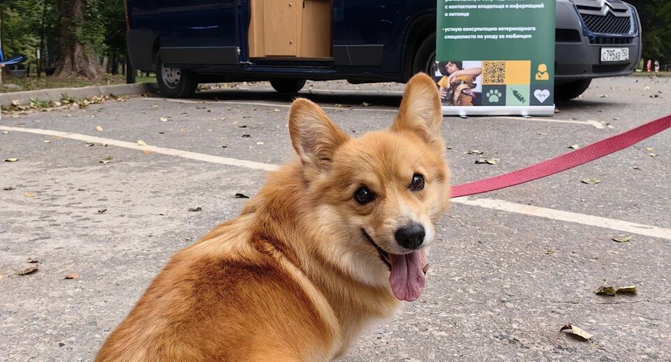    Минсельхозпрод Московской области