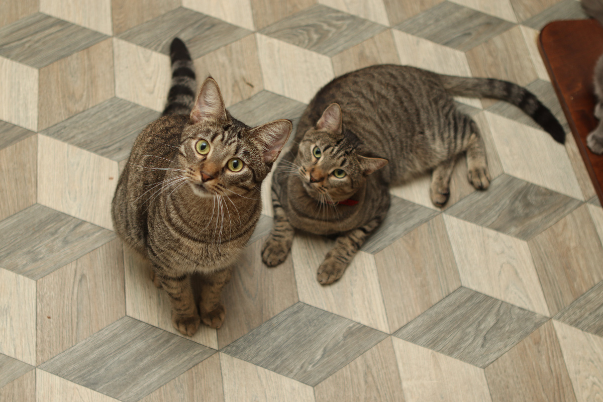 Здесь нам 2 годика, но мы вааапще не изменились:)