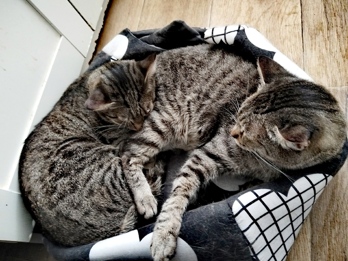 Да смотрите! Много что ли места занимаем?:)