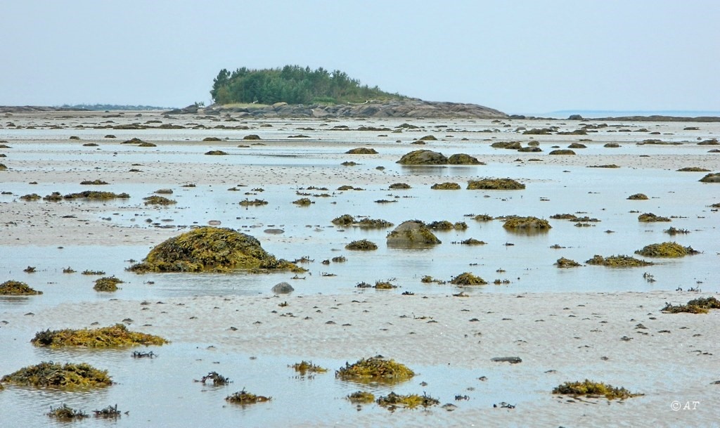 литораль во время отлива