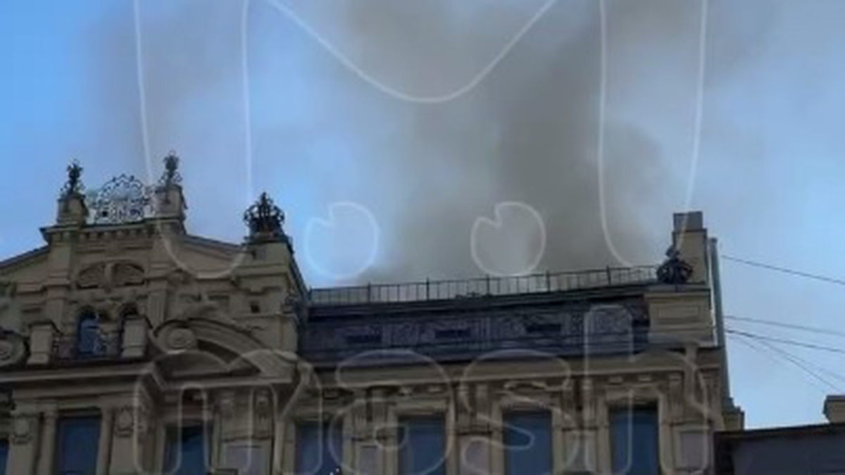    Фото: Скриншот видео / Mash на Мойке / Telegram