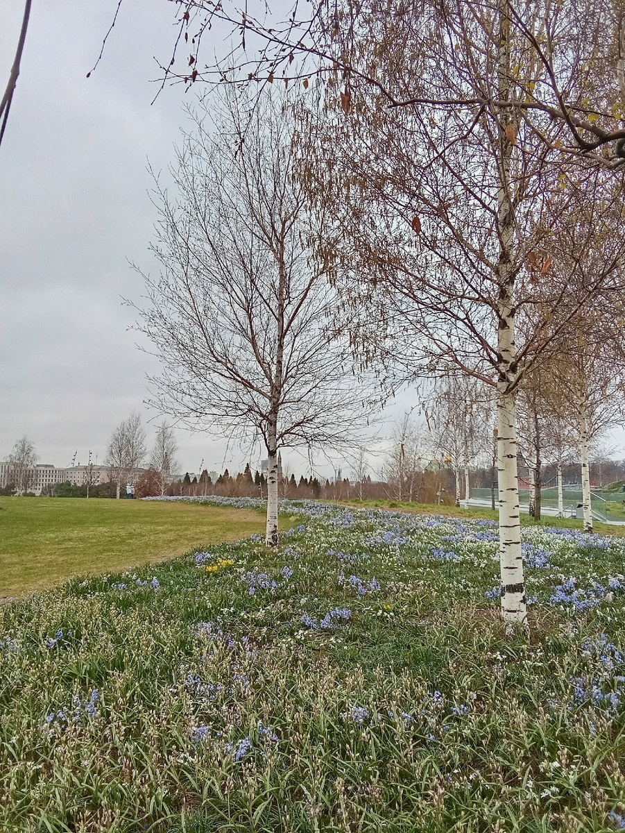 Парк Зарядье. Фото Автора