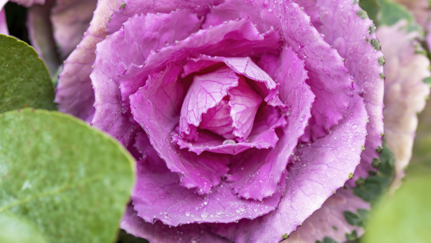    Изображение от frimufilms на Freepik