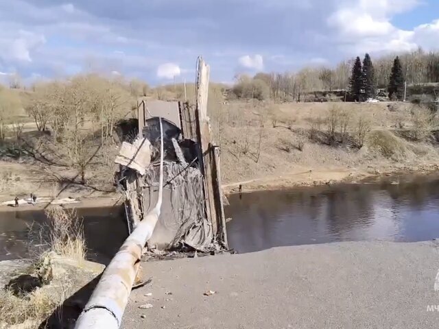    Фото: МАХ/"МЧС Ленинградской области"