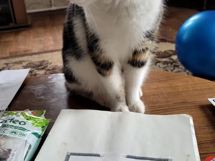 Очень активный день. Продажи на Авито