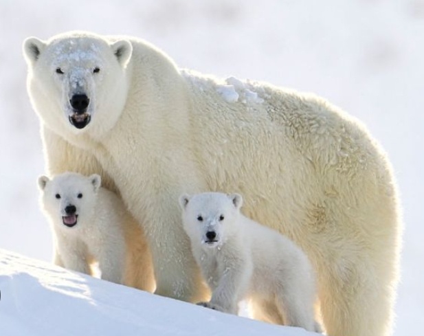 Фото из интернета