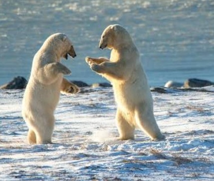 Фото из интернета