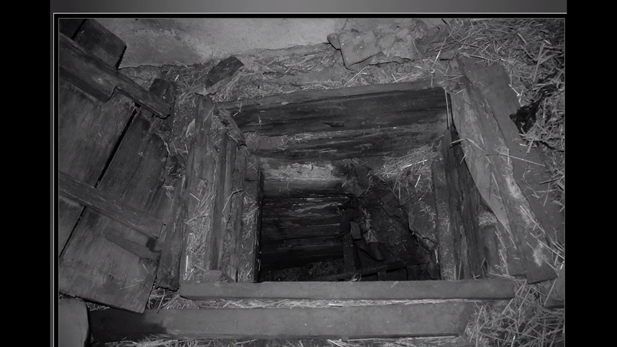 фото из интернета