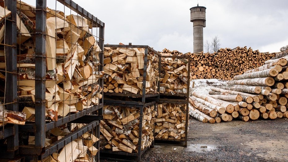    Смольный выделит субсидии поставщикам населению угля и дров. Автор фото: Сергей Ермохин/"ДП"