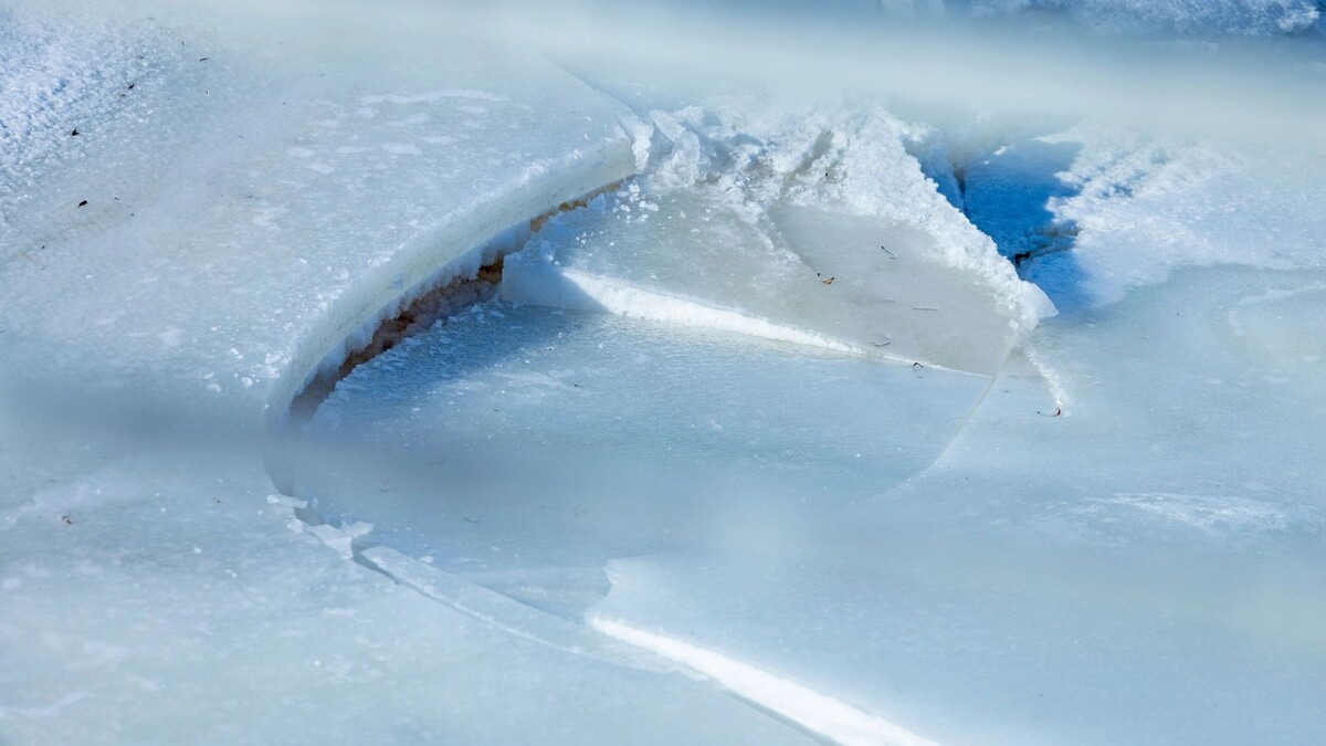    Фото: Федор Воронов/«Ямал-Медиа»