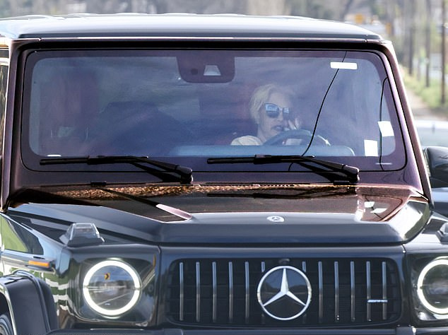    Источник: Backgrid | Бритни Спирс отправилась на лечение после ареста за вождение в нетрезвом виде