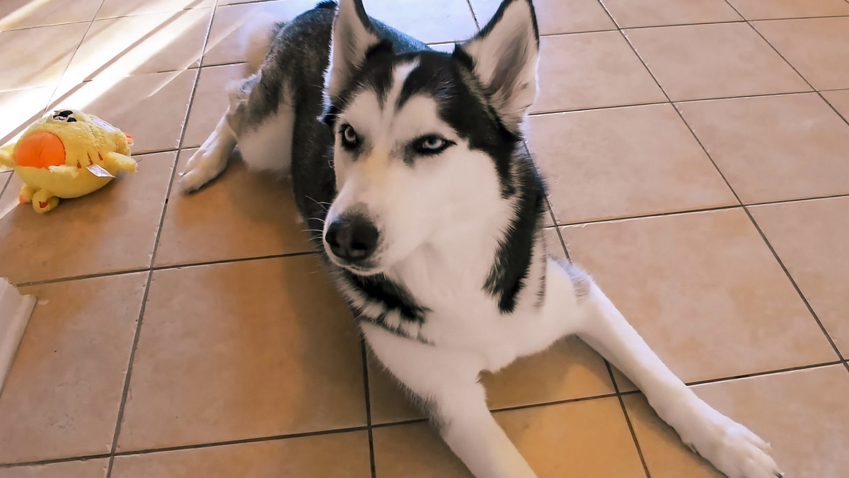 Для илюсьрации