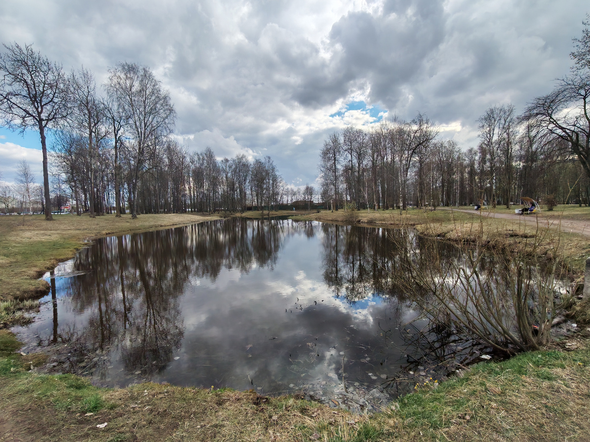 Фото автора 